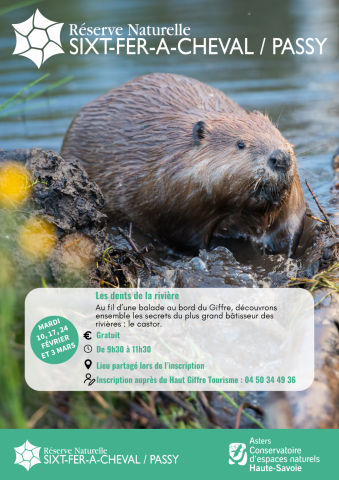 The teeth of the river_Morillon