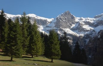 Springtime tour of the Cirque du Fer-à-Cheval