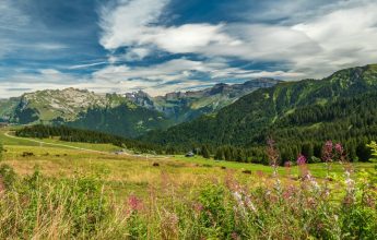 Walking itinerary: mountain walks, by gondola, to Samoëns 1600