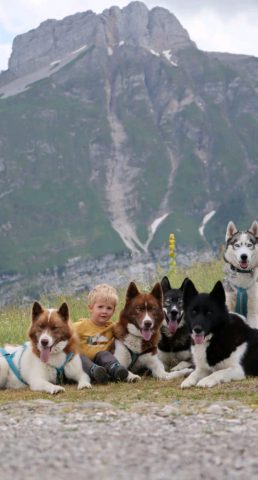 Workshop with sled dogs_Morillon