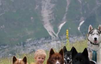 Workshop 3 to 6 years with our sled dogs