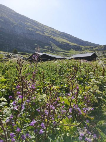 Photo exhibition “Crozet, d’un refuge à l’autre” at refuge de Sales_Sixt-Fer-à-Cheval