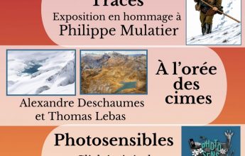 Summer exhibitions at the Abbey