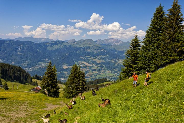 The Ascent of Sairon_Morillon