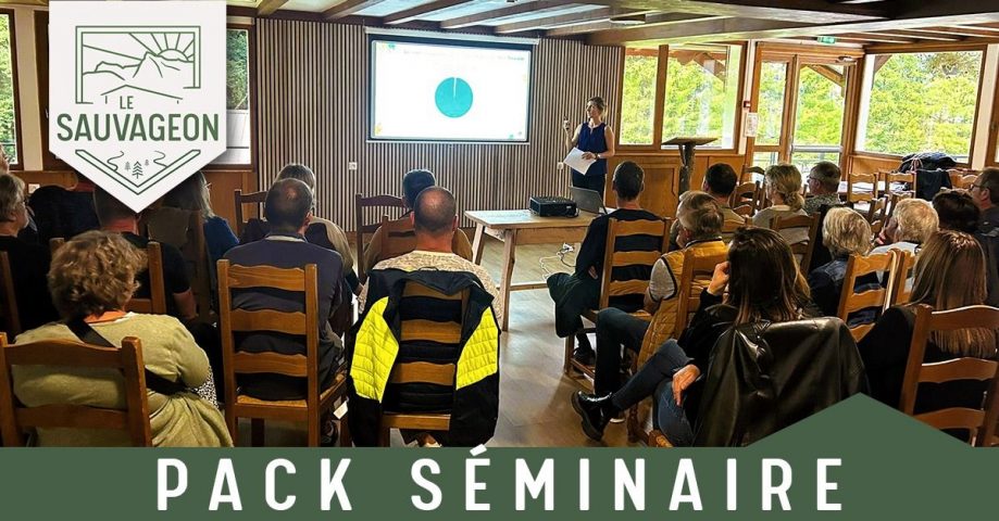 Organize your next corporate seminar in an exceptional setting!_Morillon