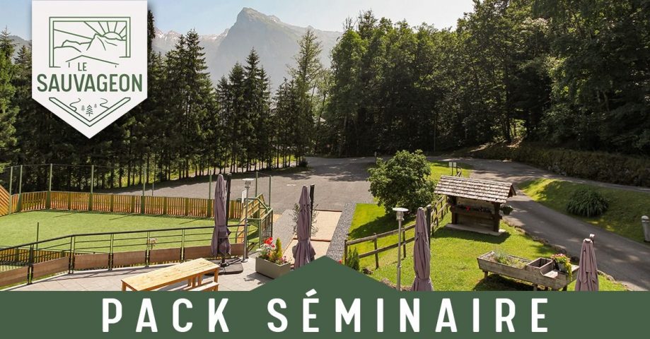 Organize your next corporate seminar in an exceptional setting!_Morillon