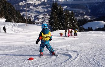 Mini group lesson alpin skiing