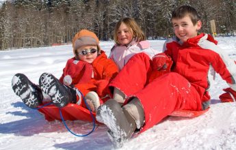 Salvagny toboggan slope