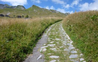 Praz de Lys up the stone path