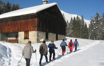 Snowshoeing : “discovery of the region”