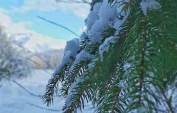 Snow science and avalanche risks training